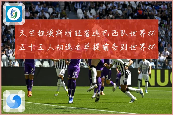 天空称埃斯特旺落选巴西队世界杯五十五人初选名单提前告别世界杯战术观察-深度解析