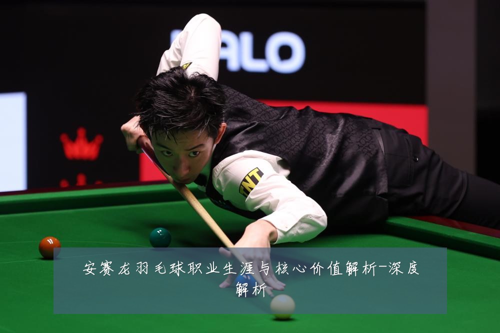 安赛龙羽毛球职业生涯与核心价值解析-深度解析