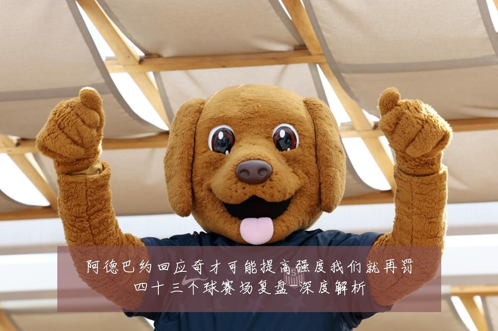 阿德巴约回应奇才可能提高强度我们就再罚四十三个球赛场复盘-深度解析